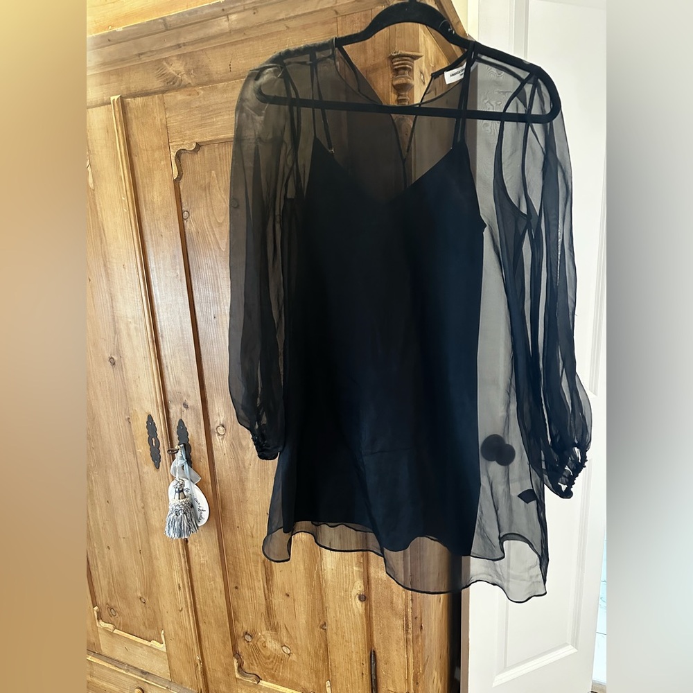 Elegant Black Sheer dress